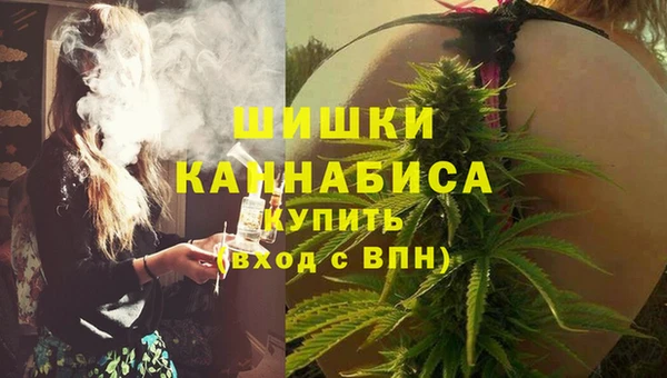 молекула духа Алзамай