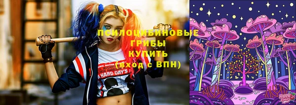 молекула духа Алзамай