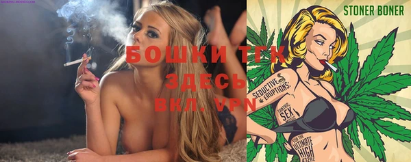 дмт Абаза