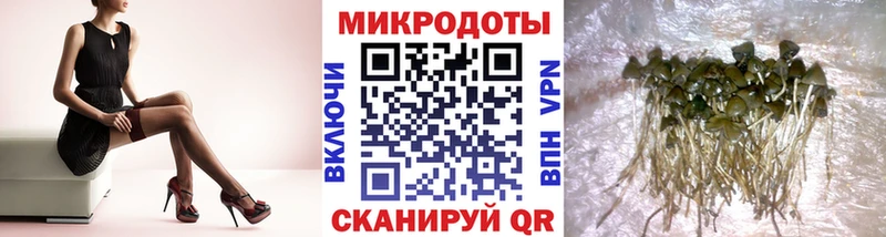 Галлюциногенные грибы мицелий  Грозный 